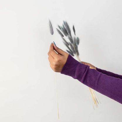 Bunny Tail Dried Pampas Grass - Grey
