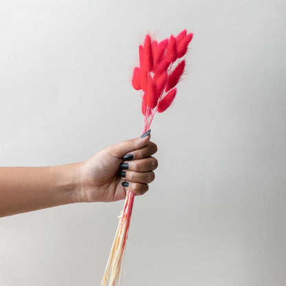 Hand holding vibrant hot pink dried bunny tails grass stems for colorful dopamine decor tabletop vase styling on white background.