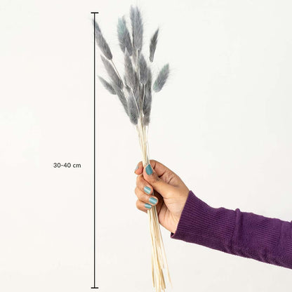 Grey lagurus bunny tail grass bouquet 30-40 cm preserved stems lifestyle decor shown with size on white background.