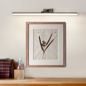 Cabinet Maker's Picture Light - Black