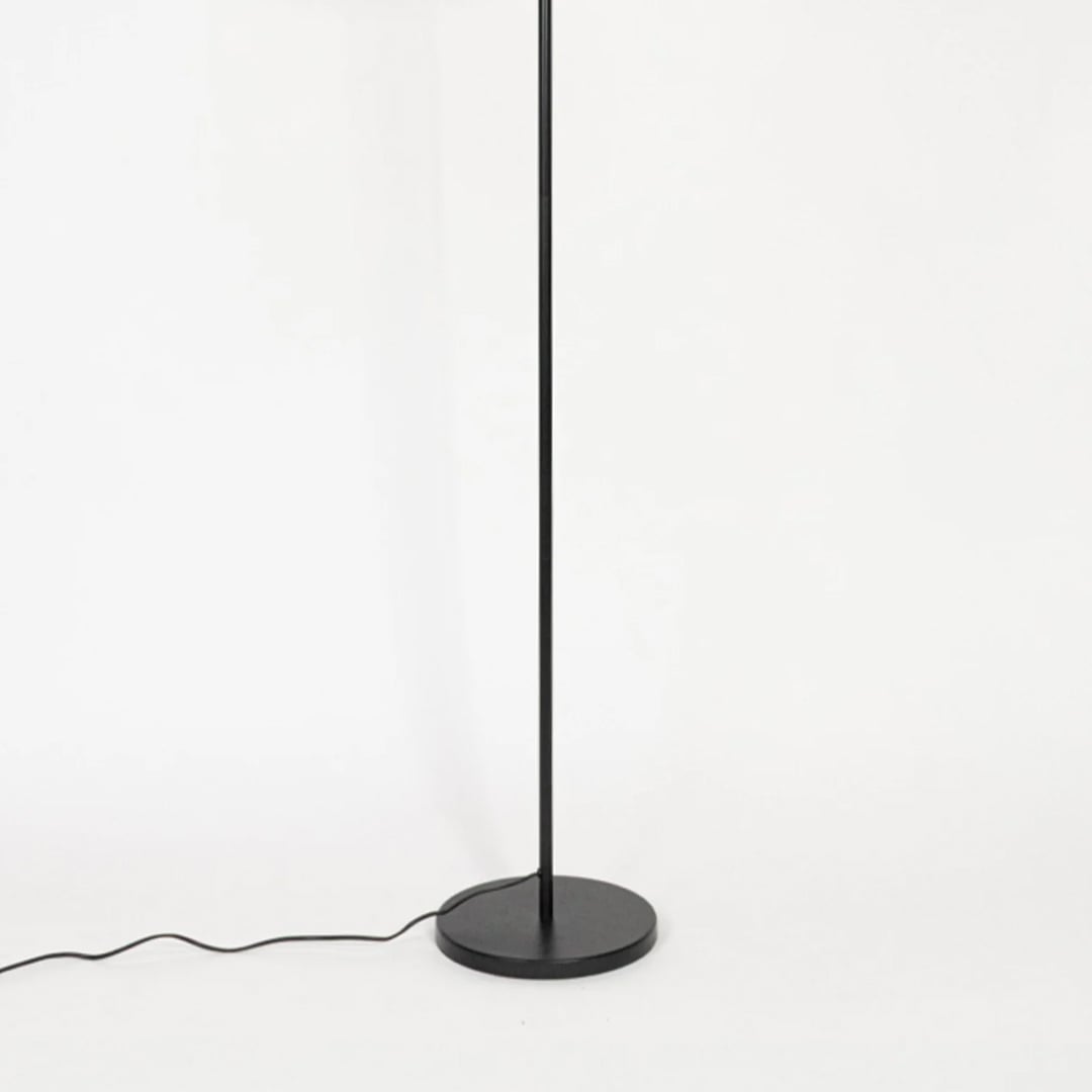 Contemporary floor lamp with black metal stem and round base on white background suited for modern living room lighting.