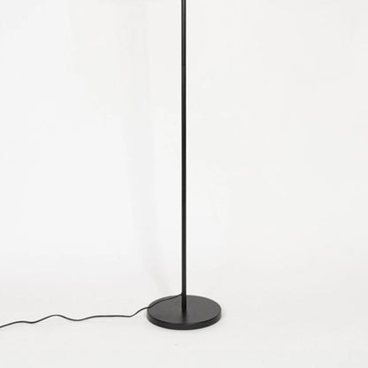 Contemporary floor lamp with black metal stem and round base on white background suited for modern living room lighting.