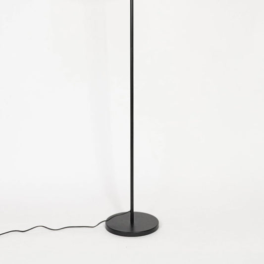 Contemporary floor lamp with black metal stem and round base on white background suited for modern living room lighting.