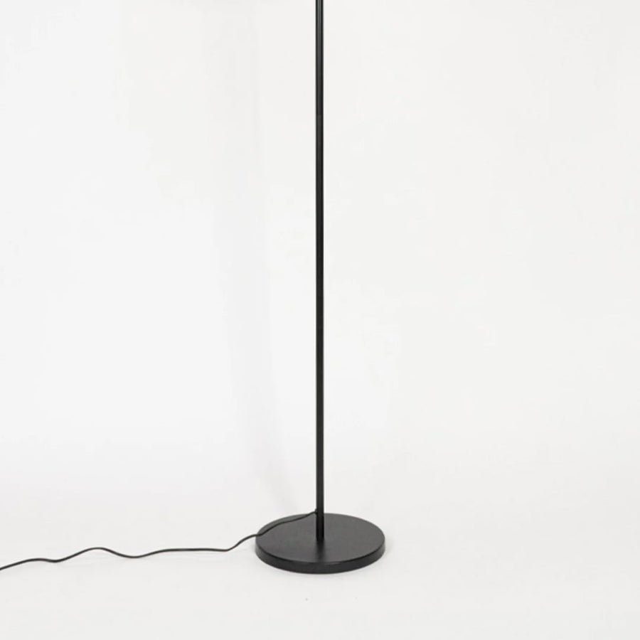 Contemporary floor lamp with black metal stem and round base on white background suited for modern living room lighting.