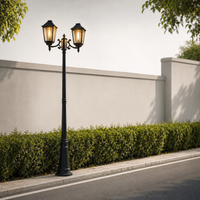 Traditional black metal double head outdoor lamp post light for house boundary wall driveway roadside landscape decoration.