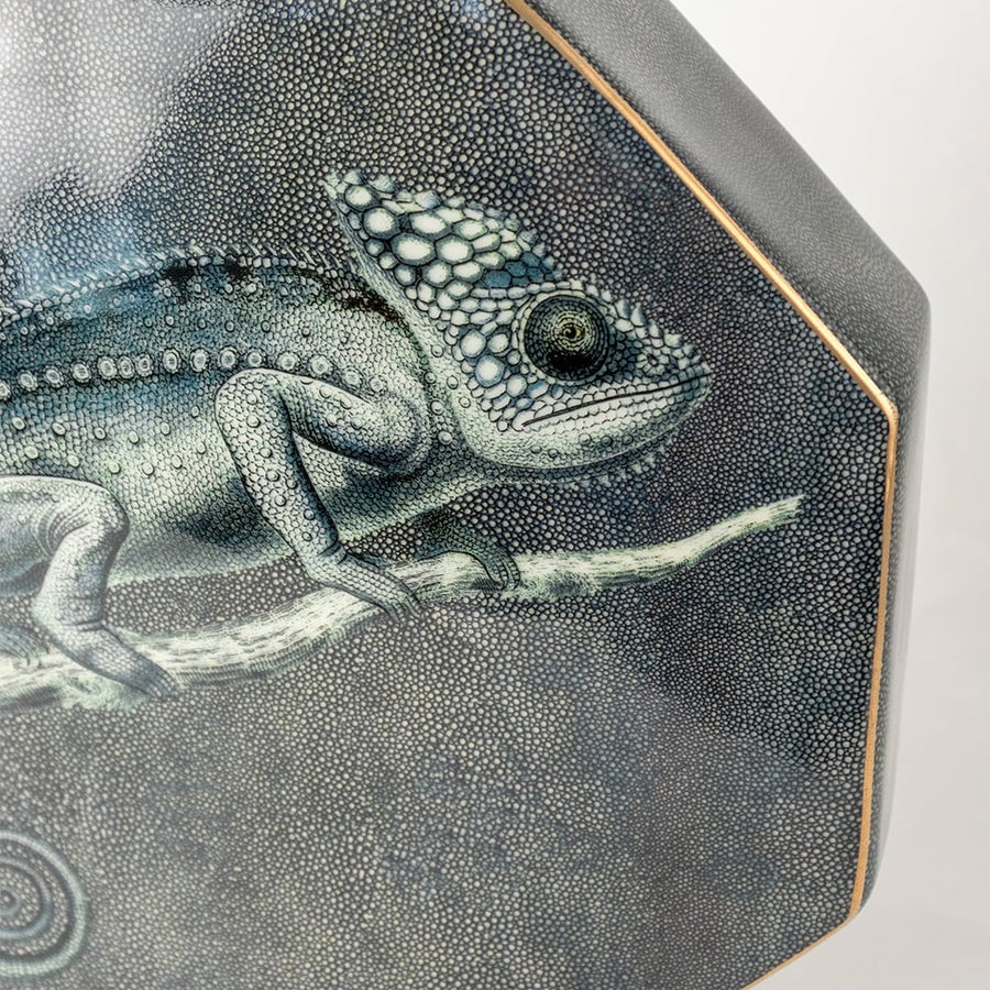 Closeup octagon ceramic jar with green lizard artwork shown on clean background for rustic natural décor.