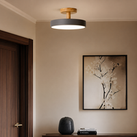 Lifestyle image of grey macaron loft led ceiling light for elegant living room decor styling and modern home lighting.