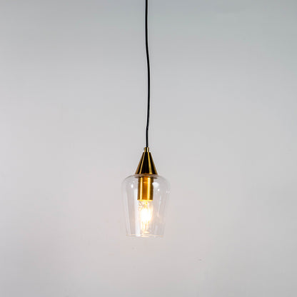 Clear Gold Glass & Metal Pendant Light