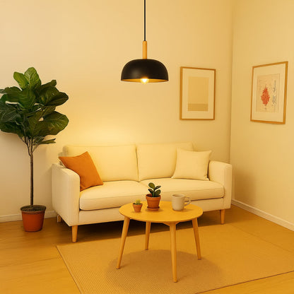 Black dome pendant light with wooden accent hanging in living room above sofa for modern home and cafe ceiling lighting decor.