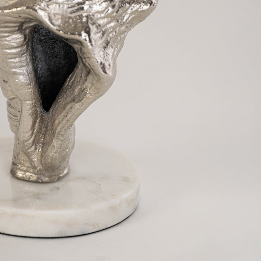 Closeup of silver conch shell decor showing intricate marine texture and round white base for a refined accent.