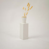 David Vase - White