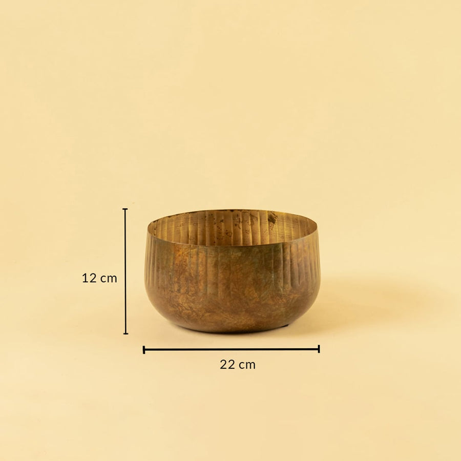 Bronze ribbed bowl planter with 12 cm height and 22 cm width ideal for shelves tables and warm modern decor styling.