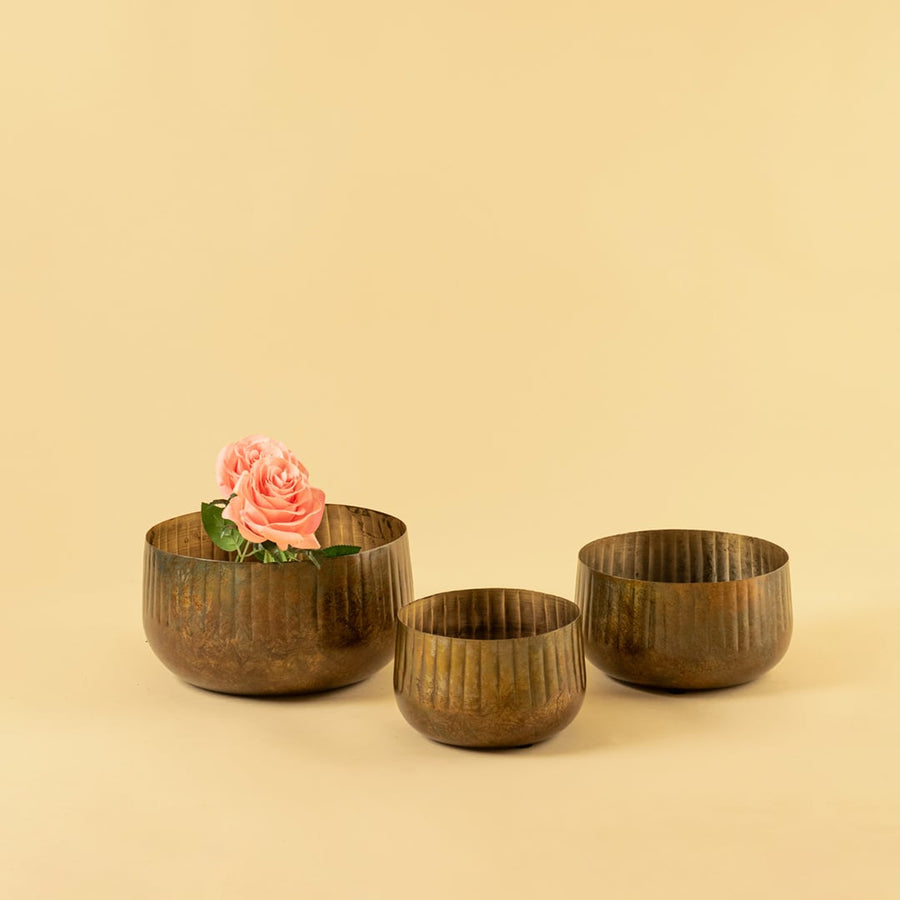 Bronze ribbed bowl planter shown with matching decor pieces offering a cohesive warm rustic look for home styling.