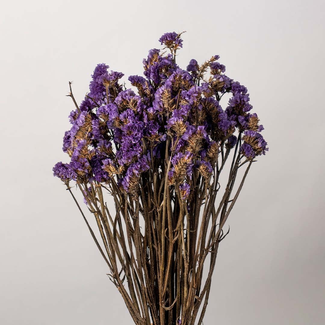 Closeup image showing detailed view of dried purple statice flowers with rustic stems ideal for aesthetic home decor.