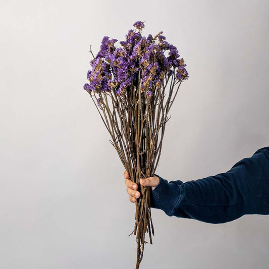 Hand holding a purple dried statice wildflower bouquet bundle for rustic bohemian tabletop vase decor on white backdrop.