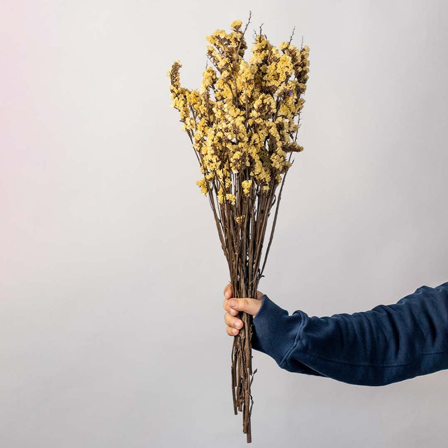 Hand holding mustard yellow dried wildflowers bouquet for rustic farmhouse vase arrangement on white backdrop.