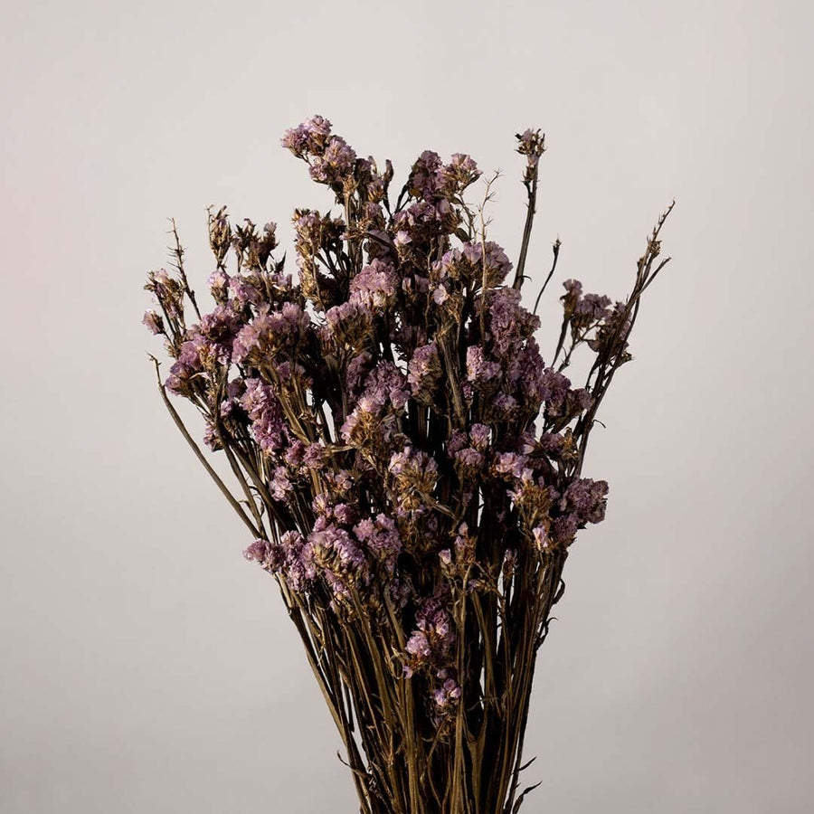 Closeup of purple dried flowers showing textured petals and stems perfect for rustic organic interior decoration.