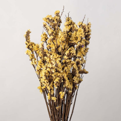 Closeup of yellow dried flowers showing detailed textured blooms perfect for rustic organic interior decor.