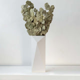 Dried Apple Leaves - Green