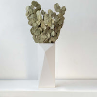 A tall geometric white vase filled with dried rounded eucalyptus style leaves displayed against a soft light background creating natural earthy botanical accents for modern interior décor.
