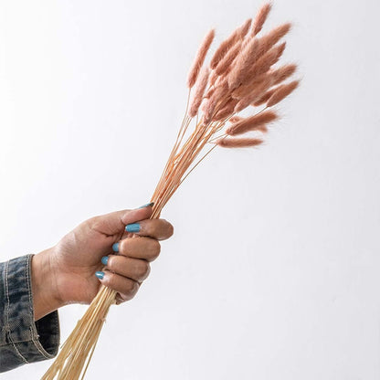 Dried floral stems with natural beige tones held in hand on white background perfect for vase decor and styling accents.