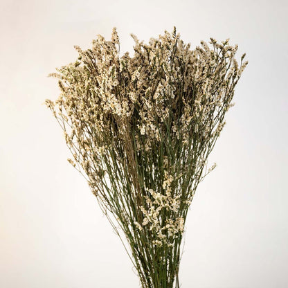 Closeup of white dried flowers showing fine textured blooms perfect for soft natural interior decoration.