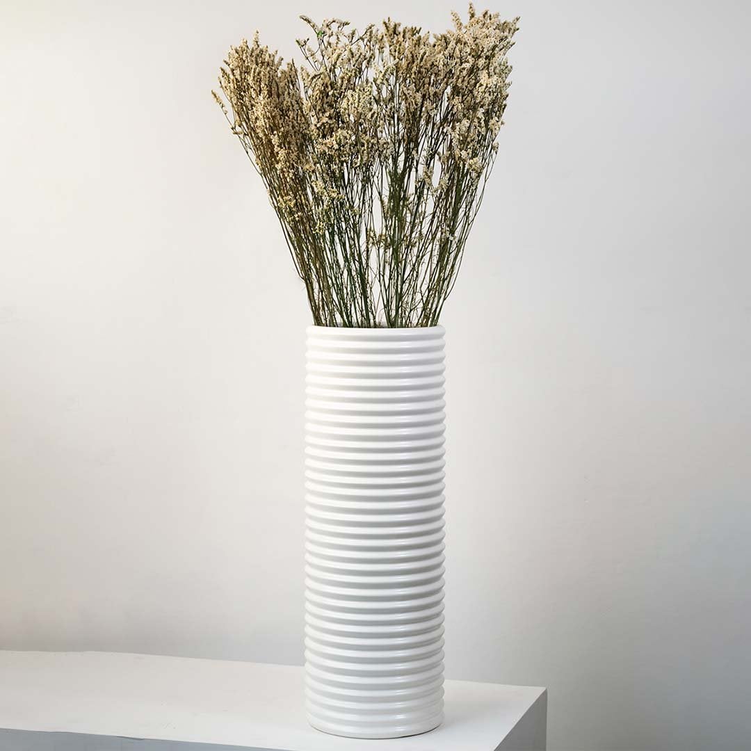 Delicate white dried flowers arranged on a bright white background offering a soft organic accent for interior decor.