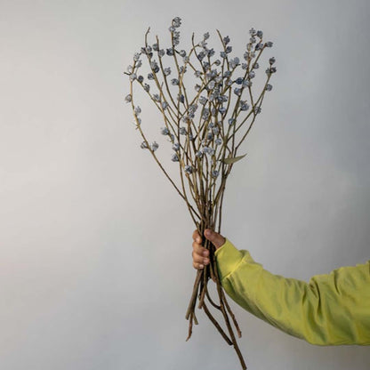 Hand holding natural green and brown dried branch stems with small buds for rustic minimalist home decor on white backdrop.