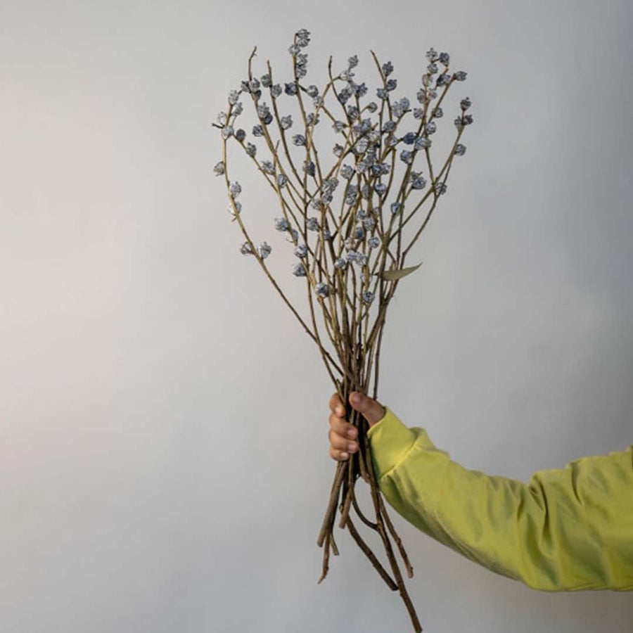 Hand holding natural green and brown dried branch stems with small buds for rustic minimalist home decor on white backdrop.