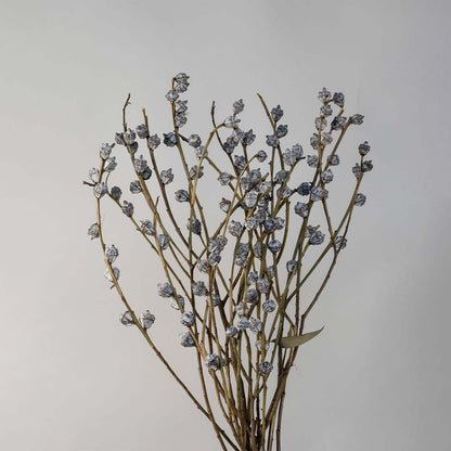 A closeup of dried grey berry stems highlighting the small textured berry clusters and natural branch details capturing the organic beauty clearly.