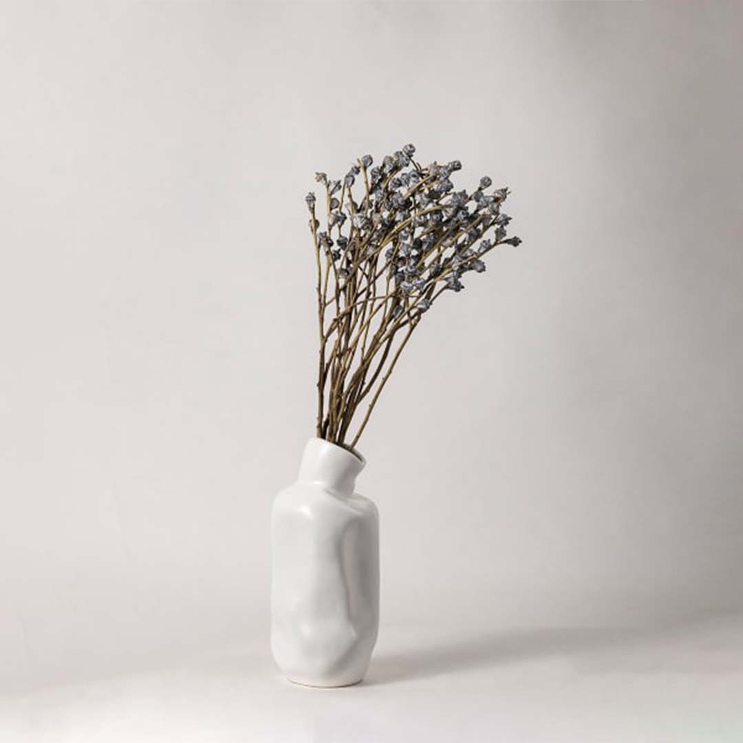 A white background image showing a modern white vase with a tilted neck holding delicate dried branches with small textured buds arranged in a natural spread.
