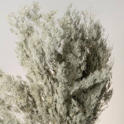 Closeup of a lush frosted silver green dried tree grass bush bundle for modern bohemian tabletop vase decor background.
