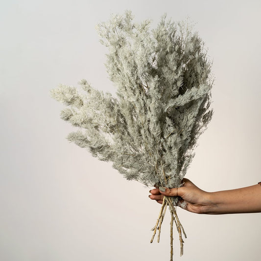Artificial preserved foliage stem in frosted white with natural wood stick perfect for vase arrangements and home decor.
