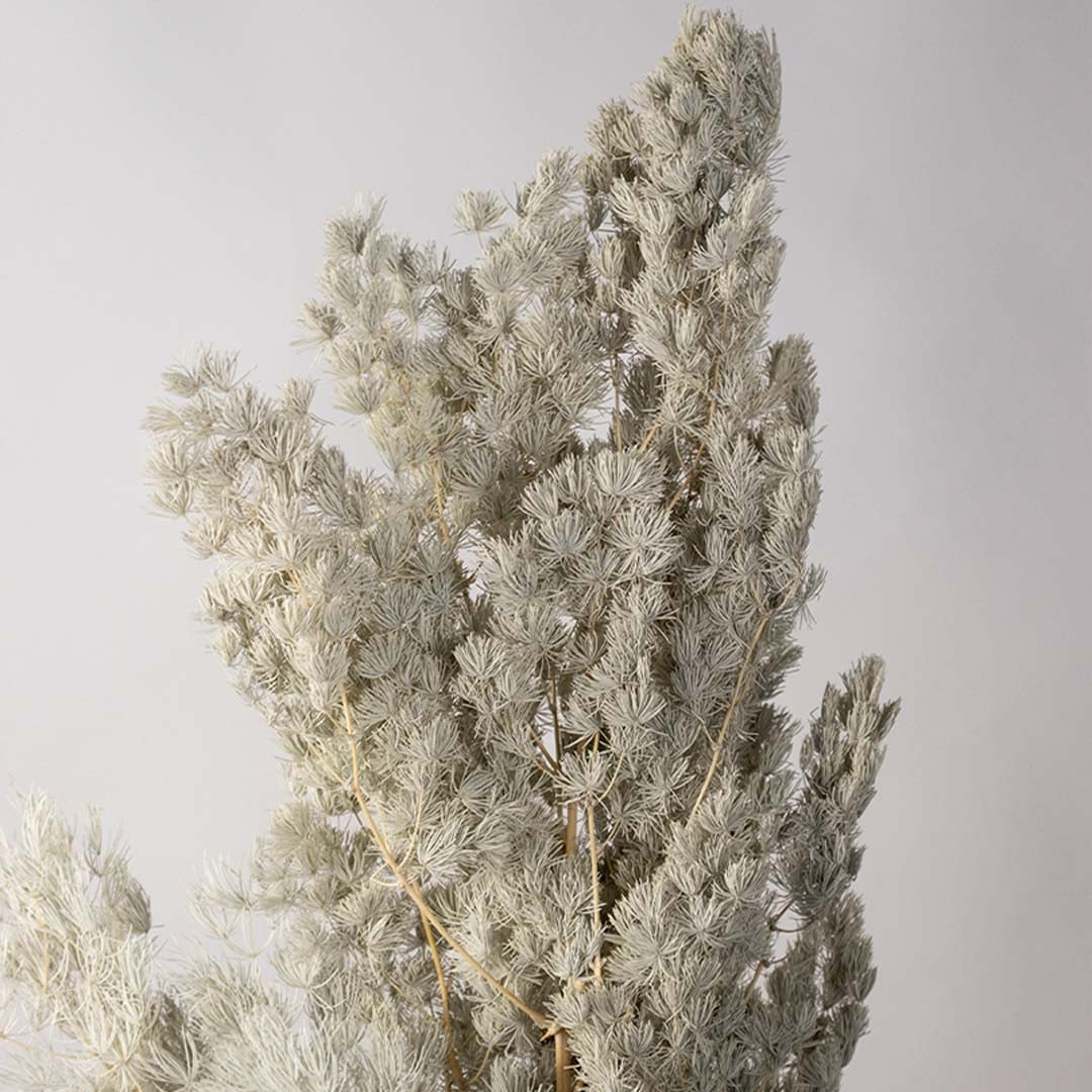 Closeup of grey preserved foliage bouquet preserved dried stems lifestyle home decor display on light background.