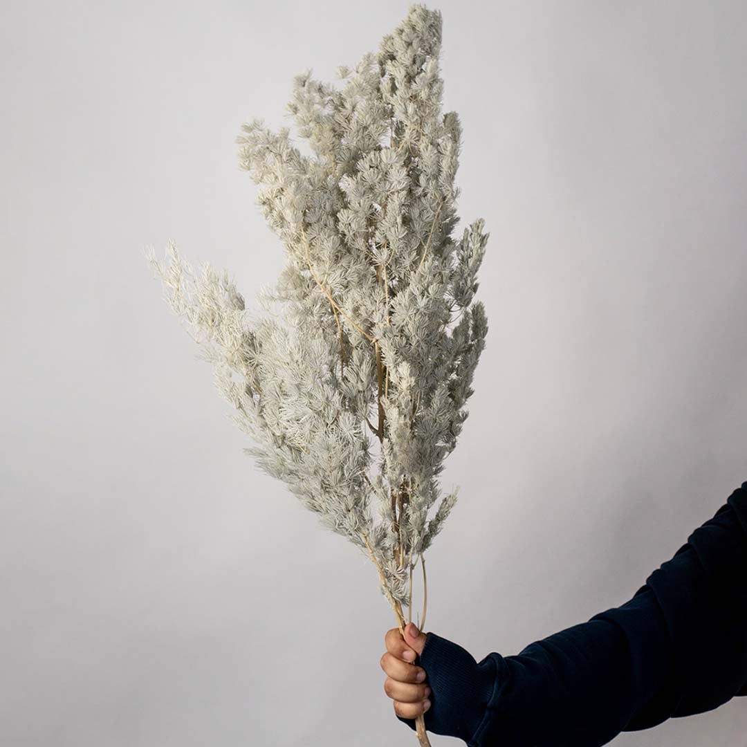 Grey preserved foliage bouquet preserved natural stems lifestyle floral arrangement on white background display.