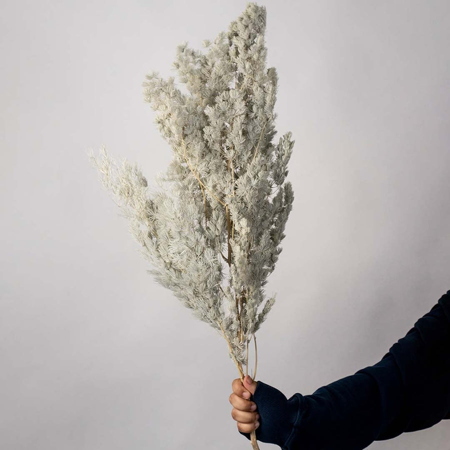 Grey preserved foliage bouquet preserved natural stems lifestyle floral arrangement on white background display.