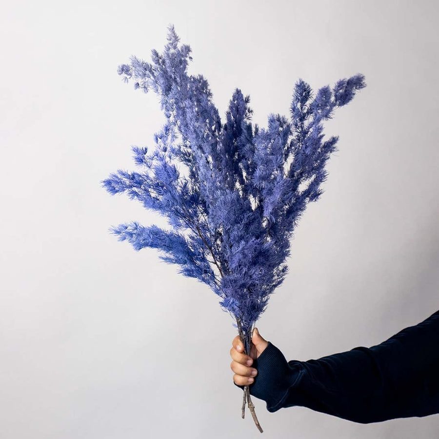 Blue preserved foliage bouquet preserved natural stems lifestyle floral arrangement on plain white background.