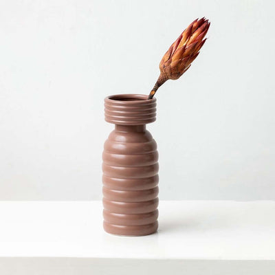 Rustic dried protea flower stem in warm orange tones styled for natural home decor adding earthy texture and charm.
