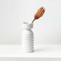 Natural dried protea flower stem in warm beige tones styled for rustic home decor adding earthy texture and organic charm.