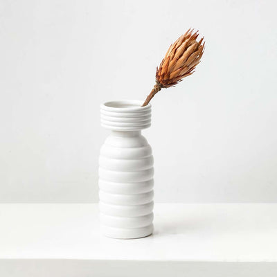 Natural dried protea flower stem in warm beige tones styled for rustic home decor adding earthy texture and organic charm.