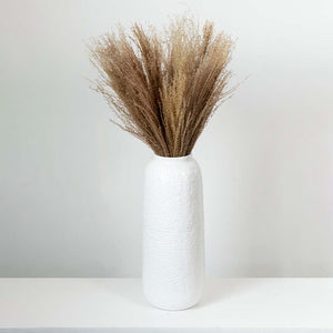 Dried Grass Miscanthus - Brown