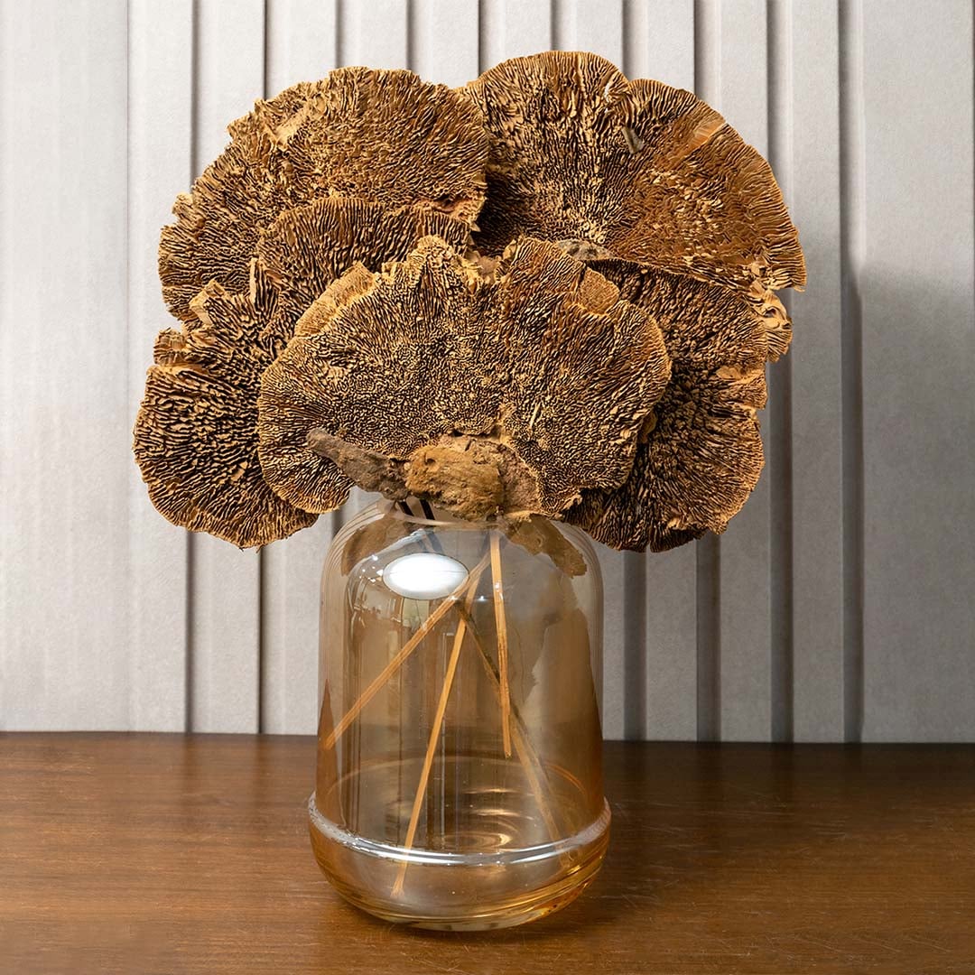 Natural brown dried shelf mushroom stalks arranged in an amber glass vase on a wooden table against a grey paneled wall.