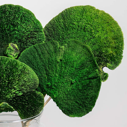 Detailed view of lush green stems showing fine natural texture with the clear glass jar base capturing an organic modern decorative aesthetic.