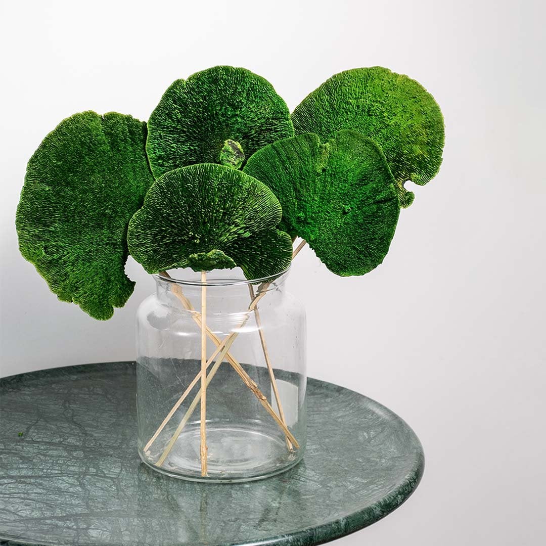 Green decorative stems arranged in a clear glass jar set on a textured round table creating a fresh natural accent for modern home decor.