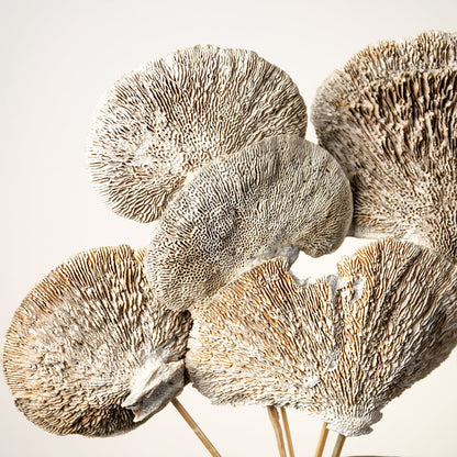 Closeup of dried brown fan stems showing rich texture and natural detailing arranged in a transparent vase for earthy decor styling.