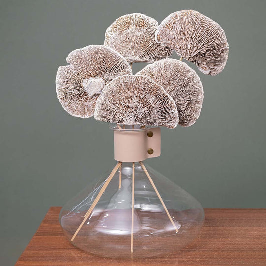 Dried brown fan stems arranged in a glass vase on a wooden outdoor table styled with beige seating and oceanfront decor in natural light.
