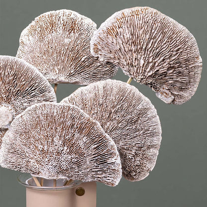 Closeup of dried brown fan stems showing rich texture and natural detailing arranged in a transparent vase for earthy decor styling.