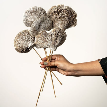 Natural dried brown fan stems showcased in a transparent glass vase over a plain white backdrop for a minimal earthy decor look.