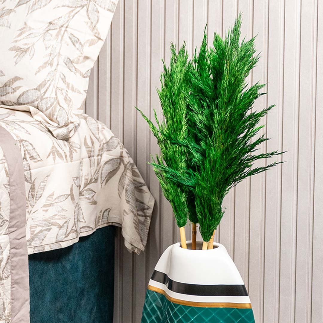 Closeup of fluffy green pampas grass plumes with soft texture for vase styling and modern home decor accents.
