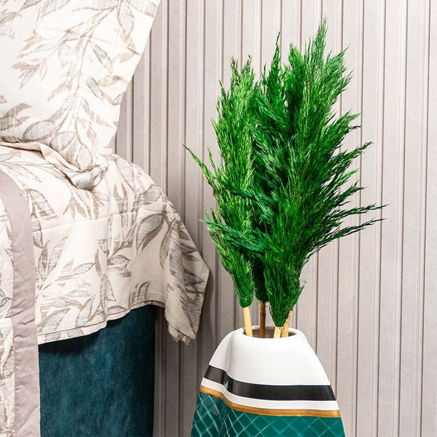 Closeup of fluffy green pampas grass plumes with soft texture for vase styling and modern home decor accents.